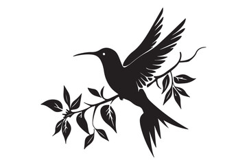 Obraz premium Hummingbird silhouette vector