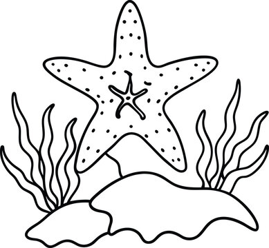 recommend clip art: Starfish line art illustration perfect for kids coloring book simple and fun designs to inspire creativity and imagination
                    
                    