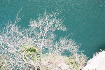 basses gorges du Verdon