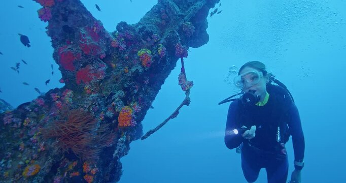 Scuba diver looks at shipwreck mast.