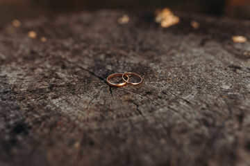 Two rings are on a log