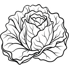 Obraz premium Minimalist Lettuce Vector on White Background – Cartoon Line Art