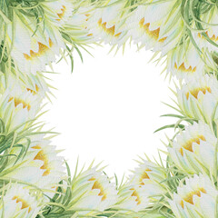 Watercolor illustration frame of pitahaya halves and pitahaya flowers. Botanical composition frame of pitahaya flowers for vegetarian exotic food design