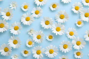 Scattered White Daisies with Yellow Centers on a Bright Blue Background: A Cheerful Floral Pattern" 