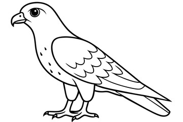 Cute harrier bird line art vector art illustration