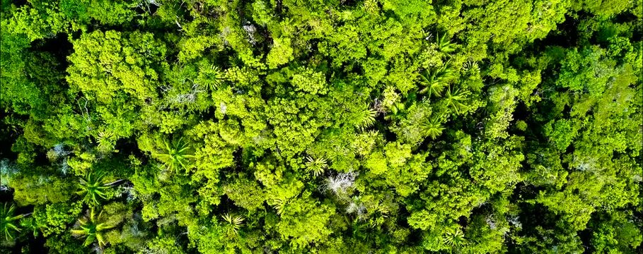 
Discover Raja Ampat in Papua, Indonesia, with amazing turquoise waters, stunning sandbanks, and vibrant sea life. Perfect for a holiday, enjoy a drone's aerial view of this tropical paradise