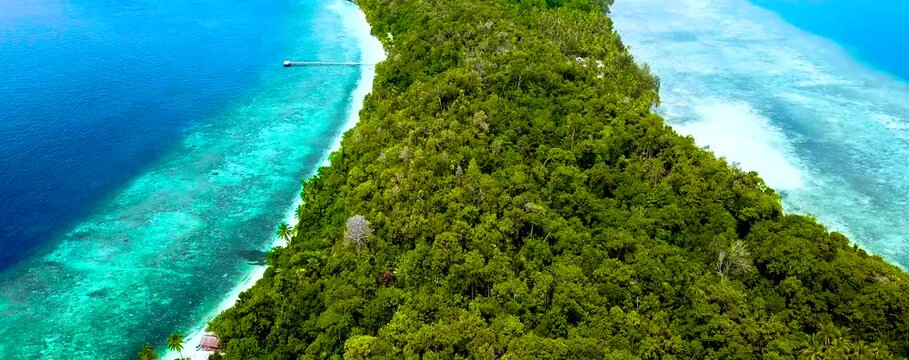 
Discover Raja Ampat in Papua, Indonesia, with amazing turquoise waters, stunning sandbanks, and vibrant sea life. Perfect for a holiday, enjoy a drone's aerial view of this tropical paradise