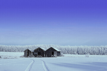Three Cabins In Winter