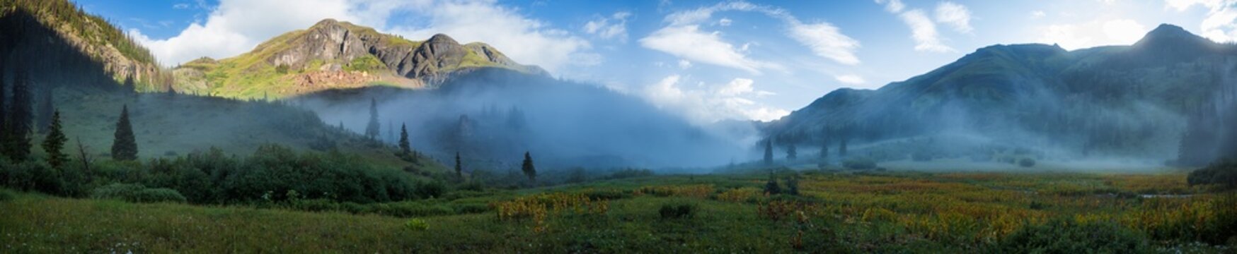 Morning mountain fog with meadow