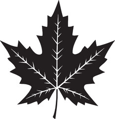 Maple leaf Silhouette Vector Illustration