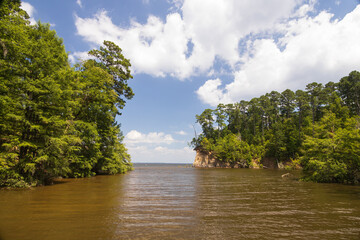 Lake landscape with trees in the water, blue sky and white clouds