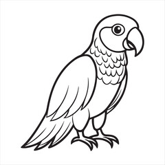 Fototapeta premium A Parrot Vector Art Illustration