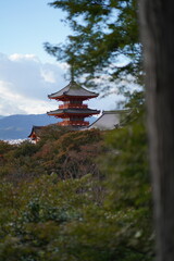 Obraz premium 五重塔