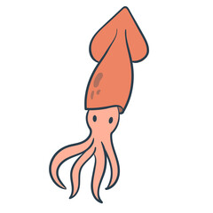 Squid Cartoon