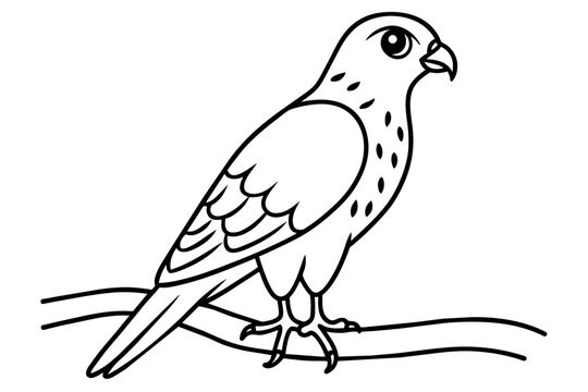 recommend clip art:  Cute illustration of harrier sitting on the branch line art vector art illustration