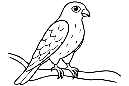 recommend clip art:  Cute illustration of harrier sitting on the branch line art vector art illustration