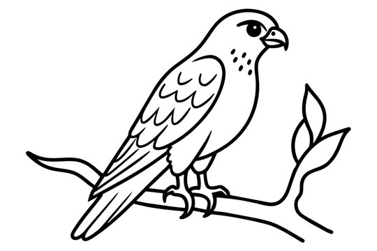 recommend clip art:  Cute illustration of harrier sitting on the branch line art vector art illustration