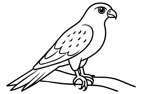 recommend clip art:  Cute illustration of harrier sitting on the branch line art vector art illustration