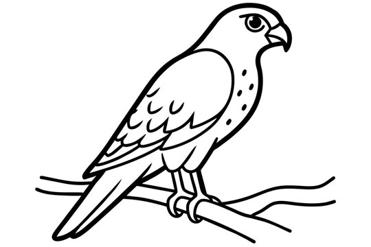 recommend clip art:  Cute illustration of harrier sitting on the branch line art vector art illustration