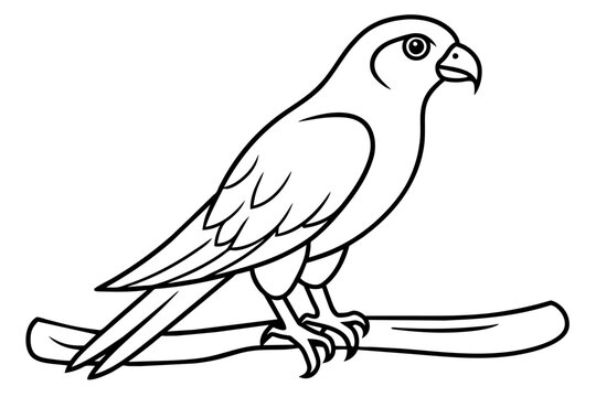 recommend clip art:  Cute illustration of harrier sitting on the branch line art vector art illustration