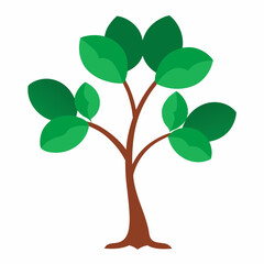 Obraz premium Sacred Fig Vector Art Design