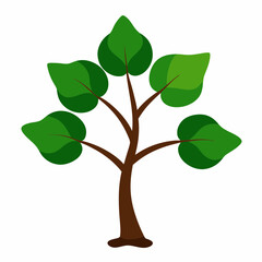 Sacred Fig Vector Art Design