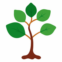 Sacred Fig Vector Art Design