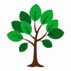 Sacred Fig Vector Art Design