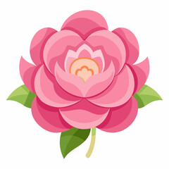 Pink flower is  vector 