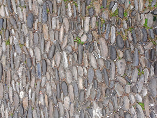 Textured Cobblestone Path with Moss Accents
