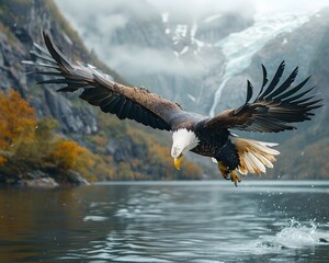 Fototapeta premium Majestic Bald Eagle Soaring Over Mountain River Scenery in Wilderness