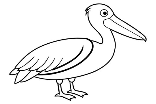recommend clip art: Cute illustration of pelican bird line art vector art illustration