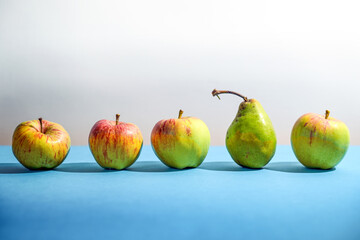 Row of apples with a single pear in between, concept for integration of diversity in the team and standing out of the crowd, blue and light gray background, copy space