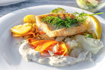 Zander or pikeperch fillet fried on the skin with carrots and cabbage vegetables, roast potatoes, lemon and dill garnish on a white plate, fish course, copy space, selected focus
