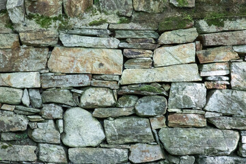 Stone wall moss