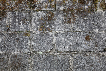 Wall overgrown