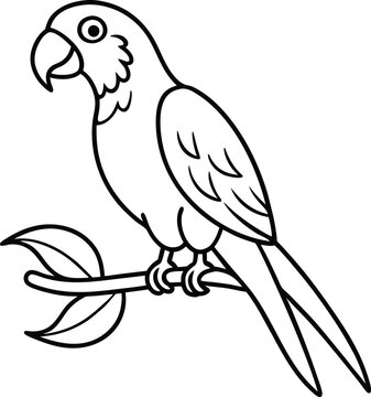 recommend clip art: Easy-to-color parrot line art that helps kids develop their coloring skills and imagination
                    