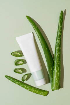Aloe vera skincare products on a green background