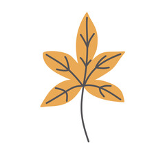 20 svg items Autumn elements illustration design art season plant