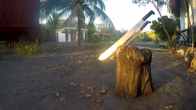 Two machetes glowing from the sunset are stuck in a stump on a tropical beach