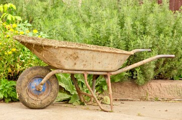 An old, rusty wheelbarrow filled with compost or soil, resting on a concrete path surrounded by...