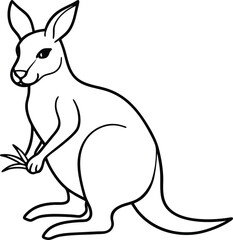 Simple kangaroo line art for kids to color and enjoy in their coloring book fun and educational activity
