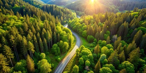 Aerial View of a Winding Road Through a Lush Green Forest at Sunset, forest , aerial view , road trip , nature