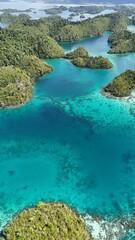 Tropical ocean lagoon with clear blue beautiful water and coral reef. Togean National Park, Central Sulawesi, Indonesia.