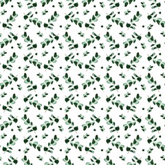 Seamless plant pattern isolated eucalyptus branches hand drawn. Repeating pattern white background.