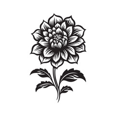flower silhouette vector, isolated on white background, black and white silhouette vector and illustration, flower silhouette, silhouette style