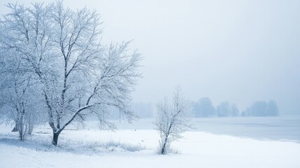Snowfall gently covering a serene landscape, with room for copy in the untouched snow