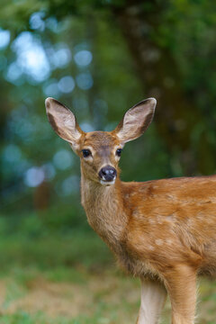 Baby doe
