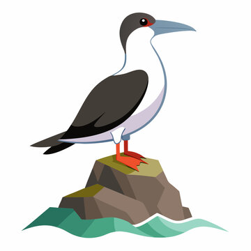 recommend clip art: Perched seabird on rocky silhouette vector illustration
