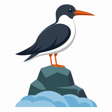 recommend clip art: Perched seabird on rocky silhouette vector illustration